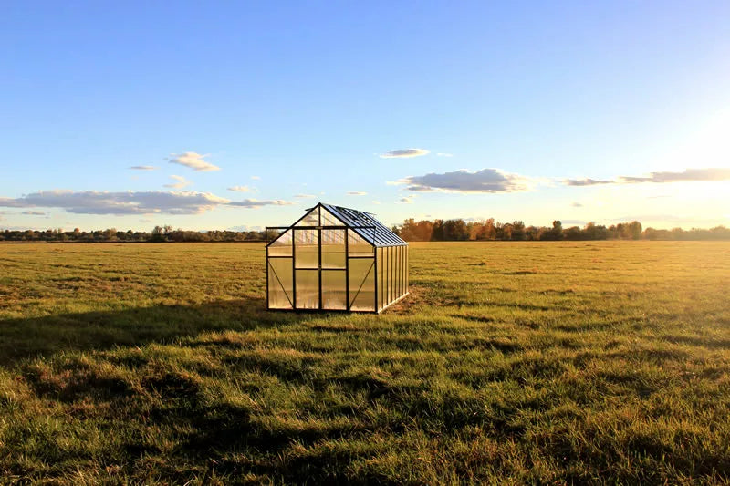 Grandio Ascent Greenhouse