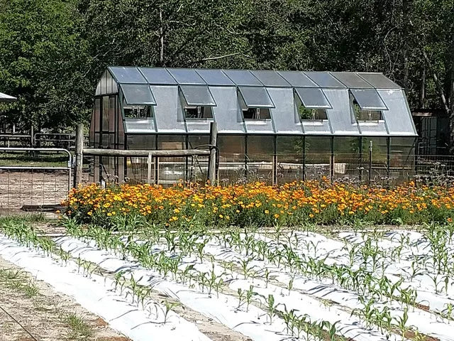 Grandio Summit Greenhouse