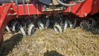 Yetter Farm Equipment Yetter Short Narrow Floating Row Cleaner — Image 3